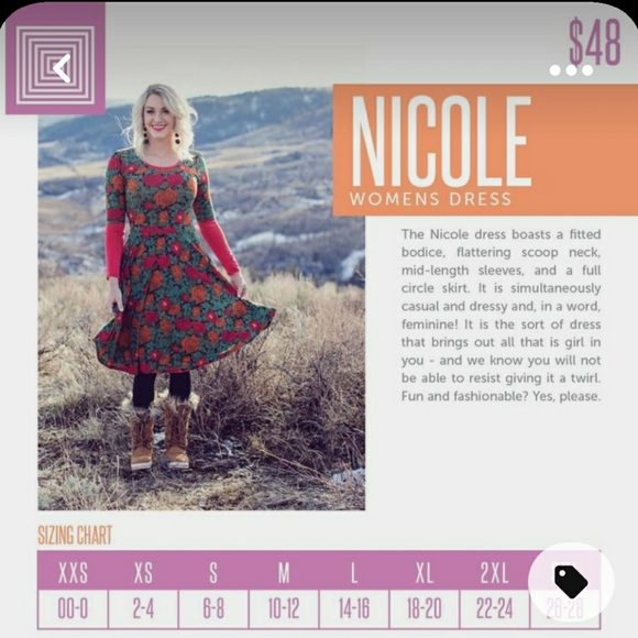 - Size Small New LuLaRoe Nicole Dress - Picture 7 of 13
